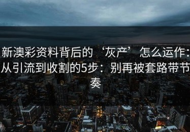 新澳彩资料背后的‘灰产’怎么运作：从引流到收割的5步：别再被套路带节奏