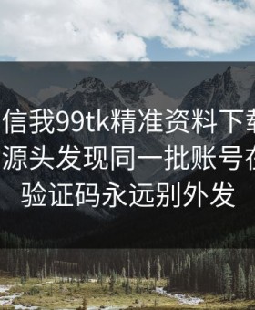 有人私信我99tk精准资料下载链接，我追到源头发现同一批账号在群发：验证码永远别外发