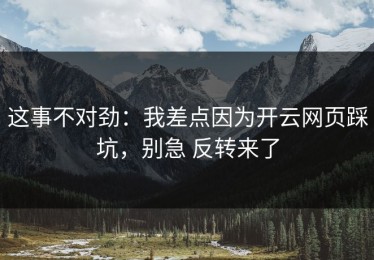 这事不对劲：我差点因为开云网页踩坑，别急 反转来了