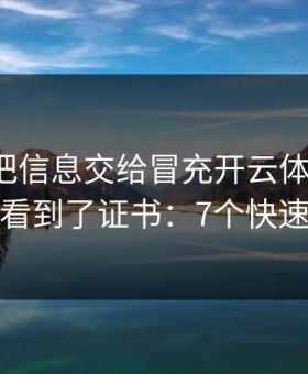 我差点把信息交给冒充开云体育的人，幸亏看到了证书：7个快速避坑
