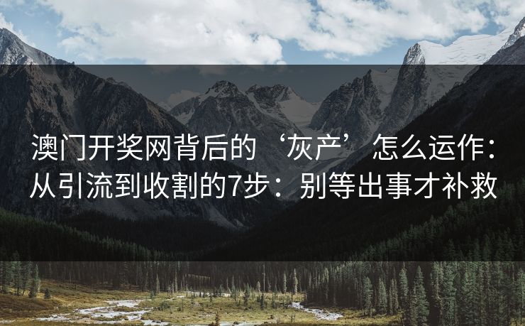 澳门开奖网背后的‘灰产’怎么运作：从引流到收割的7步：别等出事才补救