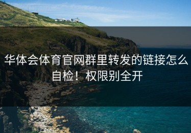 华体会体育官网群里转发的链接怎么自检！权限别全开