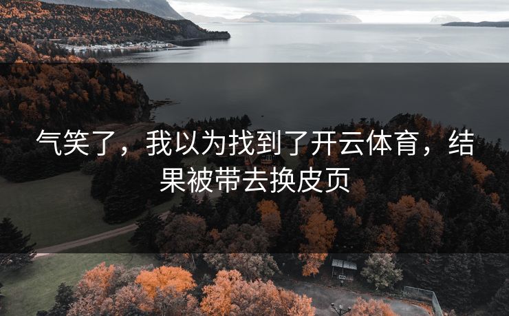气笑了，我以为找到了开云体育，结果被带去换皮页